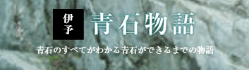 伊予青石物語　青石のすべてがわかる青石ができるまでの物語
	