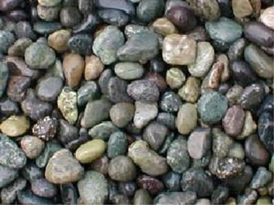 フィリピン大磯