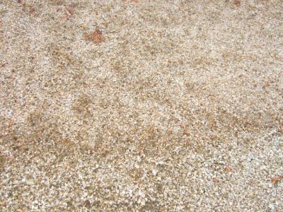 草無課長　黄土