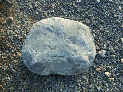 伊予青石　飛石　自然　大（φ500mm内外）