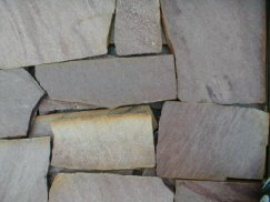 サンバ　12/25　乱形