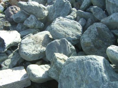 伊予青石　飛石　自然　小（φ300mm内外）