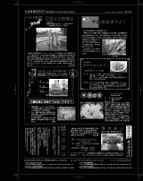 いよせき倶楽部 第178号-2