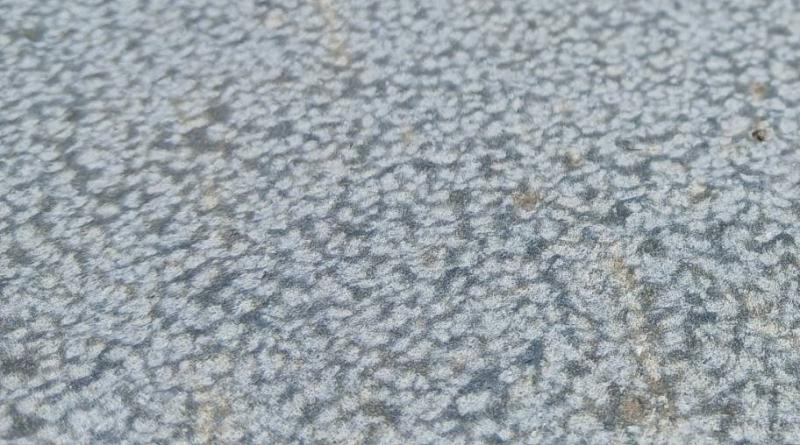 2025.12.01 ニュース記事 - サムネイル画像8