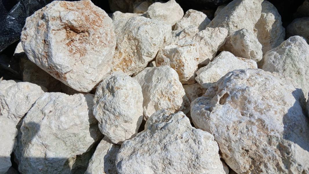 2025.12.01 ニュース記事 - サムネイル画像1