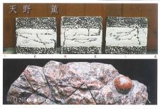 2012.11.20 ニュース記事 - サムネイル画像2