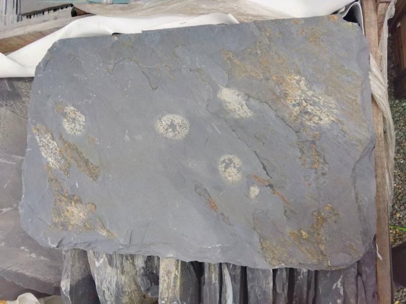 2025.12.01 ニュース記事 - サムネイル画像2