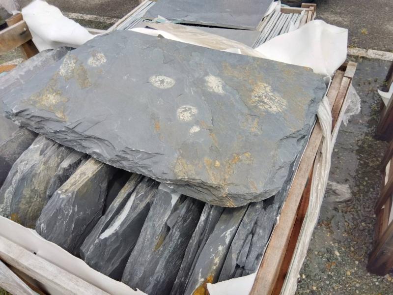 2025.12.01 ニュース記事 - サムネイル画像1