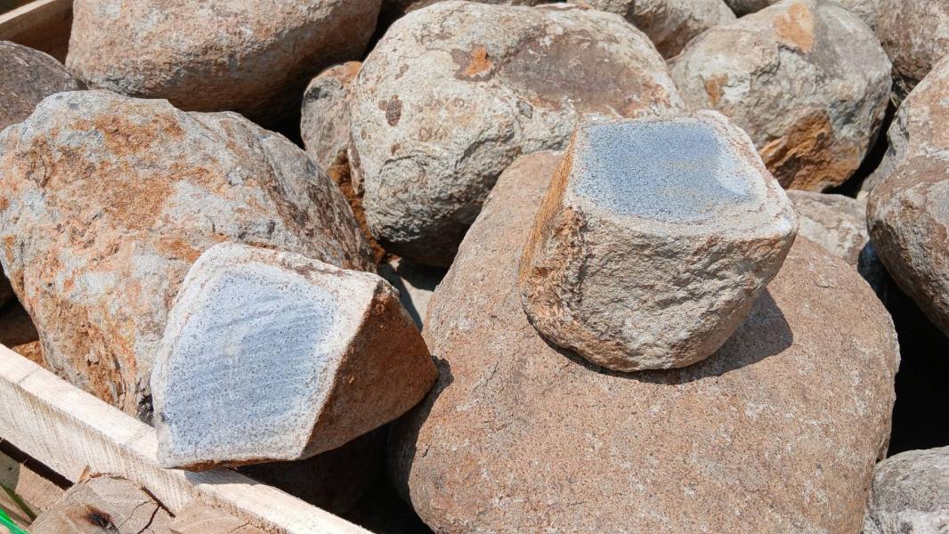 2025.12.01 ニュース記事 - サムネイル画像2