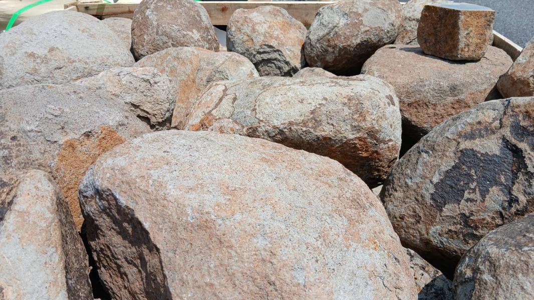 2025.12.01 ニュース記事 - サムネイル画像1